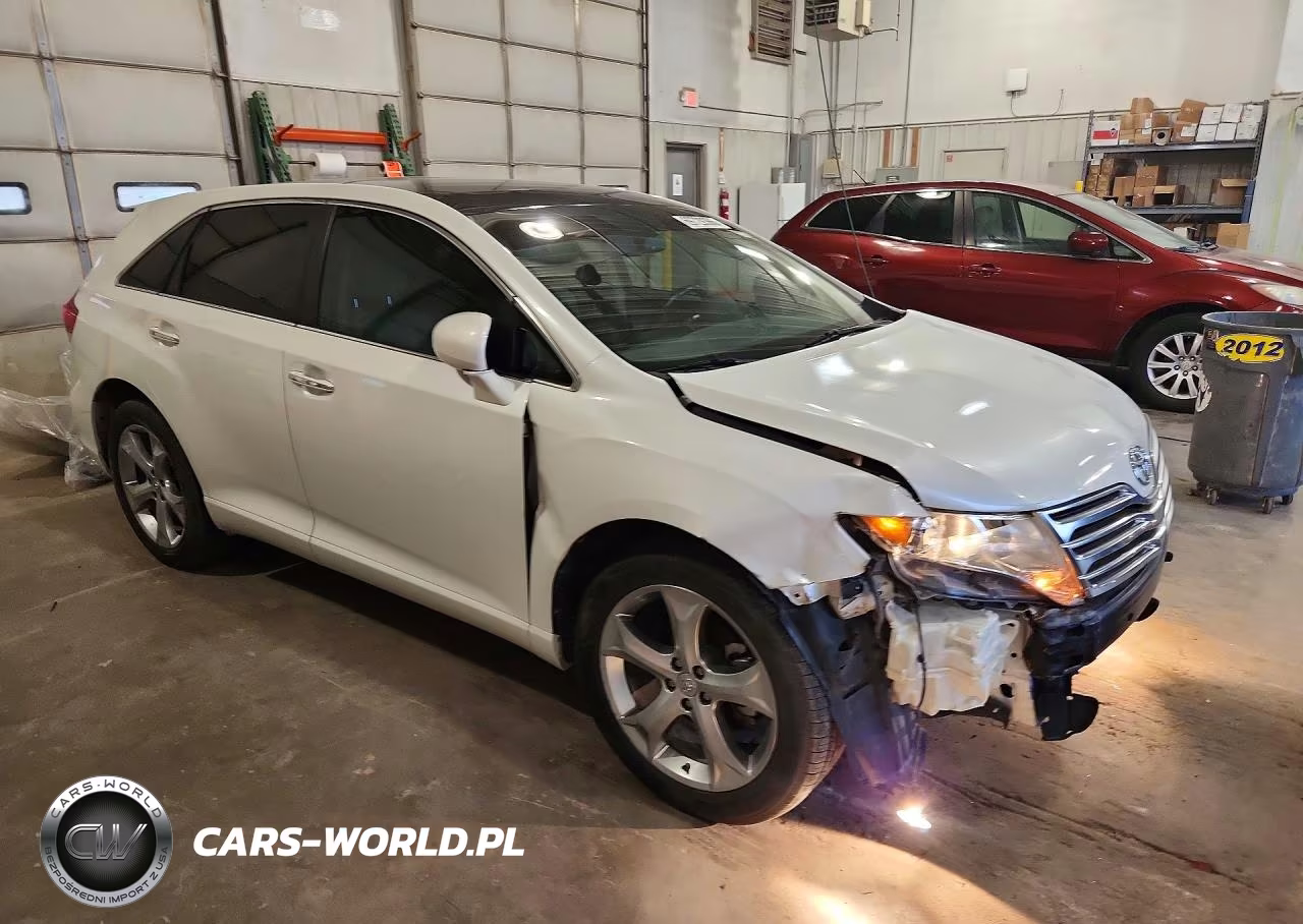 2009 Toyota Venza Awd V6 VIN:4T3BK11A79U014132 - 4