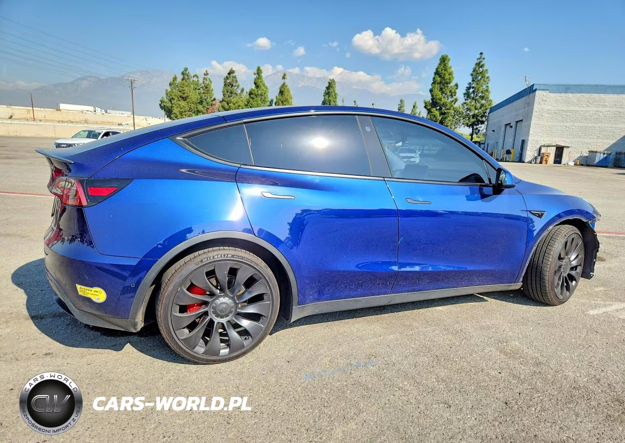 2022 Tesla Model Y VIN:7SAYGDEF9NF501547 - 3