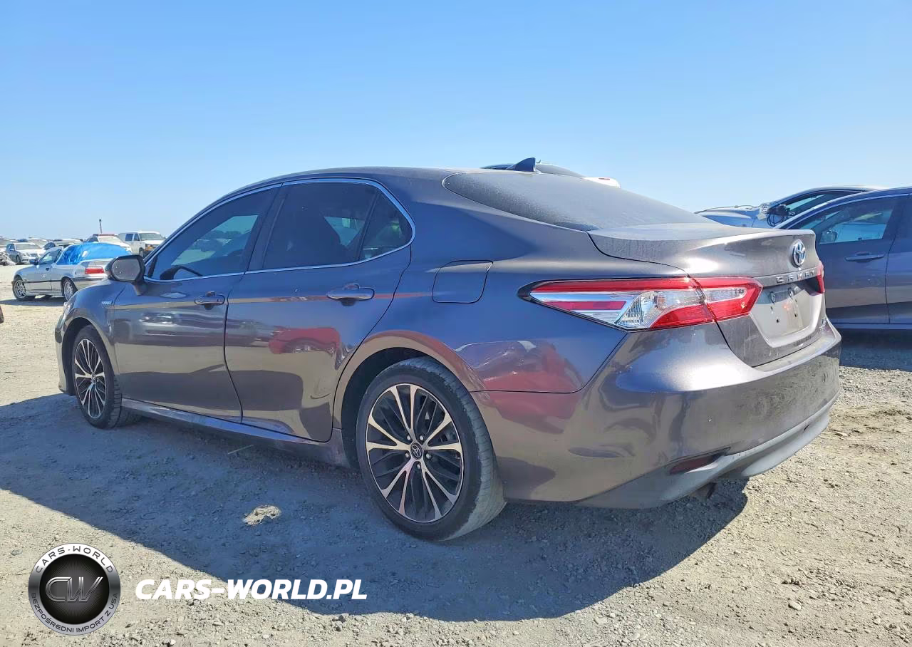 2020 Toyota Camry Le VIN:4T1C31AK4LU013840 - 2