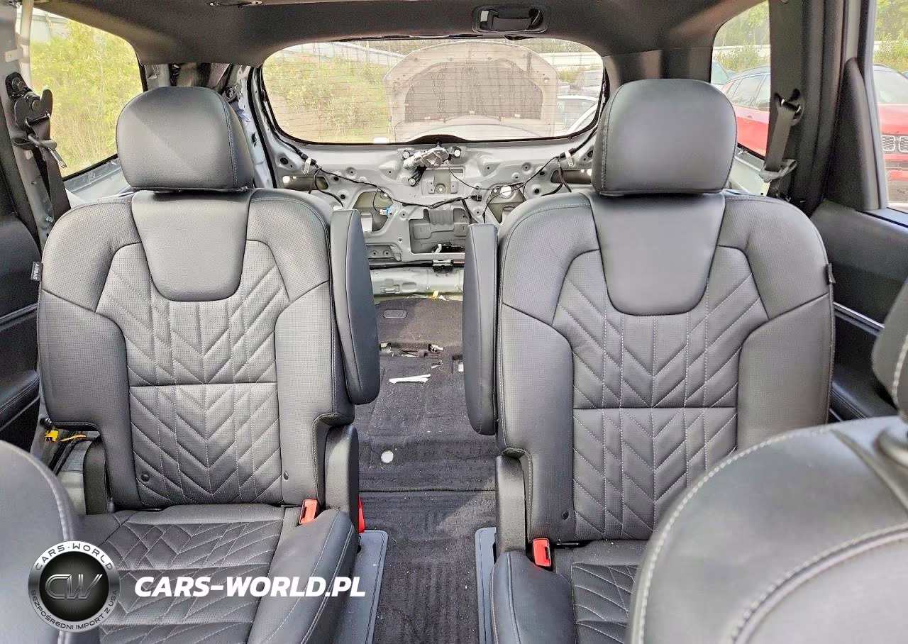 2023 Kia Telluride Sx X-Pro VIN:5XYP5DGC0PG404668 - 10