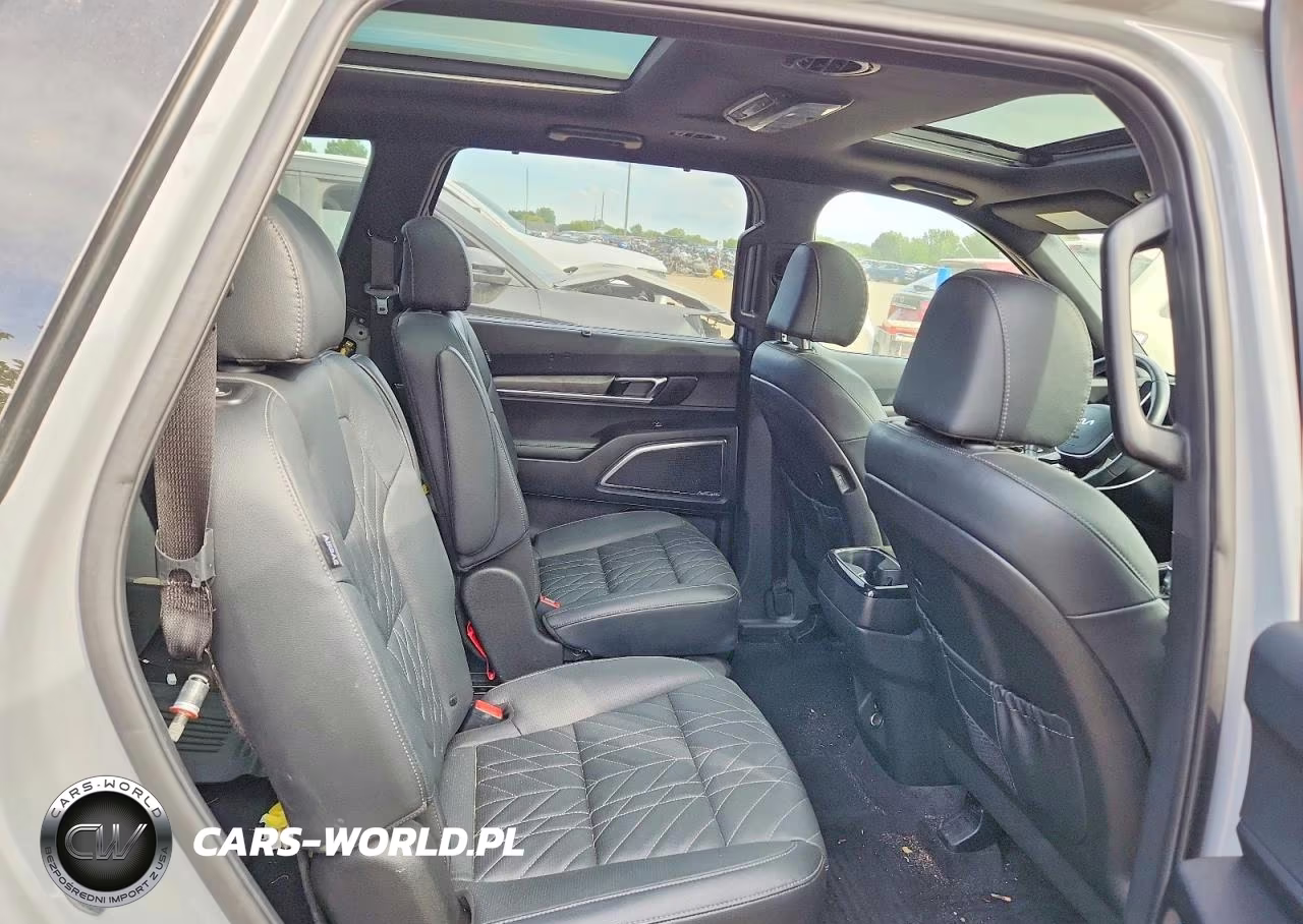 2023 Kia Telluride Sx X-Pro VIN:5XYP5DGC0PG404668 - 11