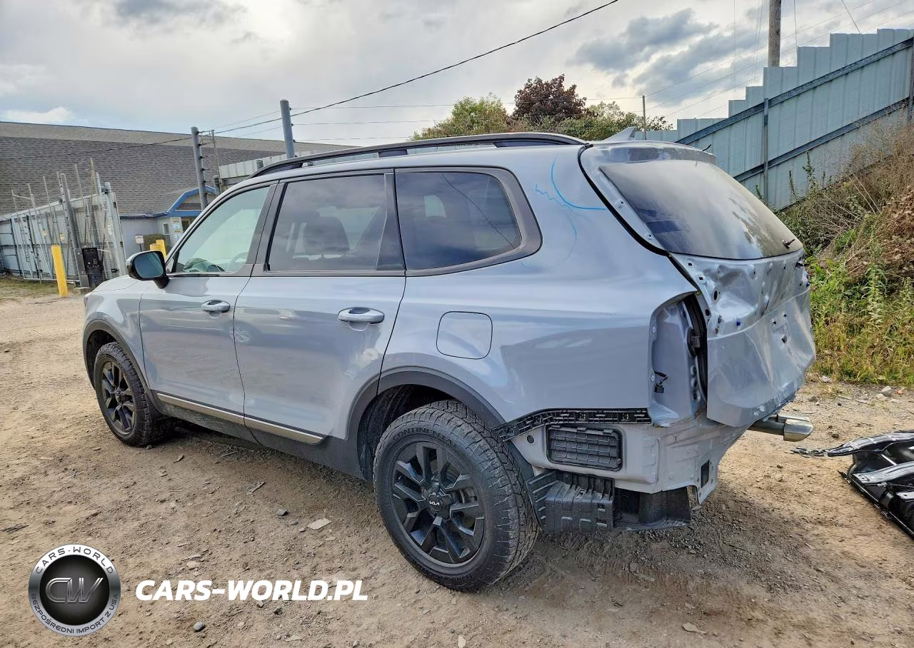 2023 Kia Telluride Sx X-Pro VIN:5XYP5DGC0PG404668 - 2