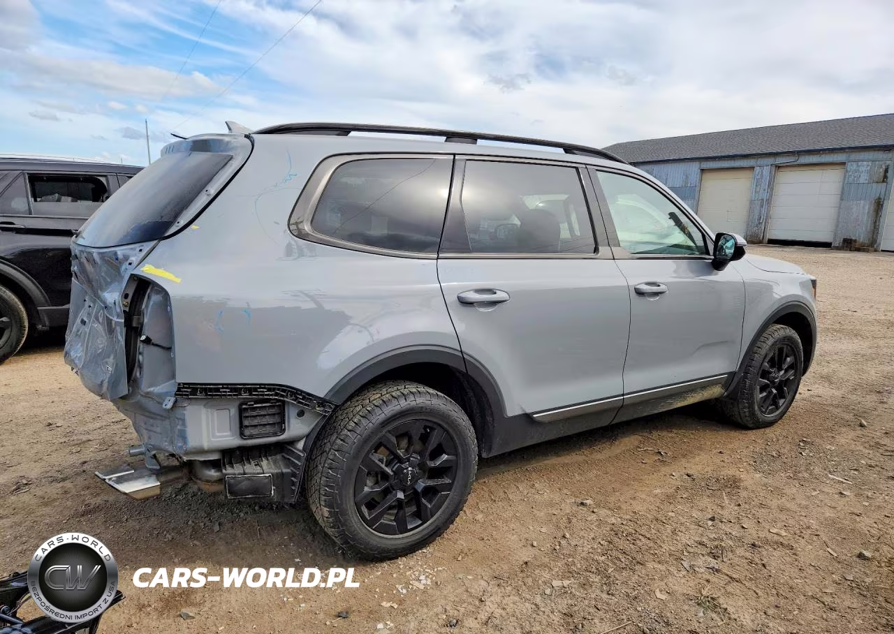 2023 Kia Telluride Sx X-Pro VIN:5XYP5DGC0PG404668 - 3