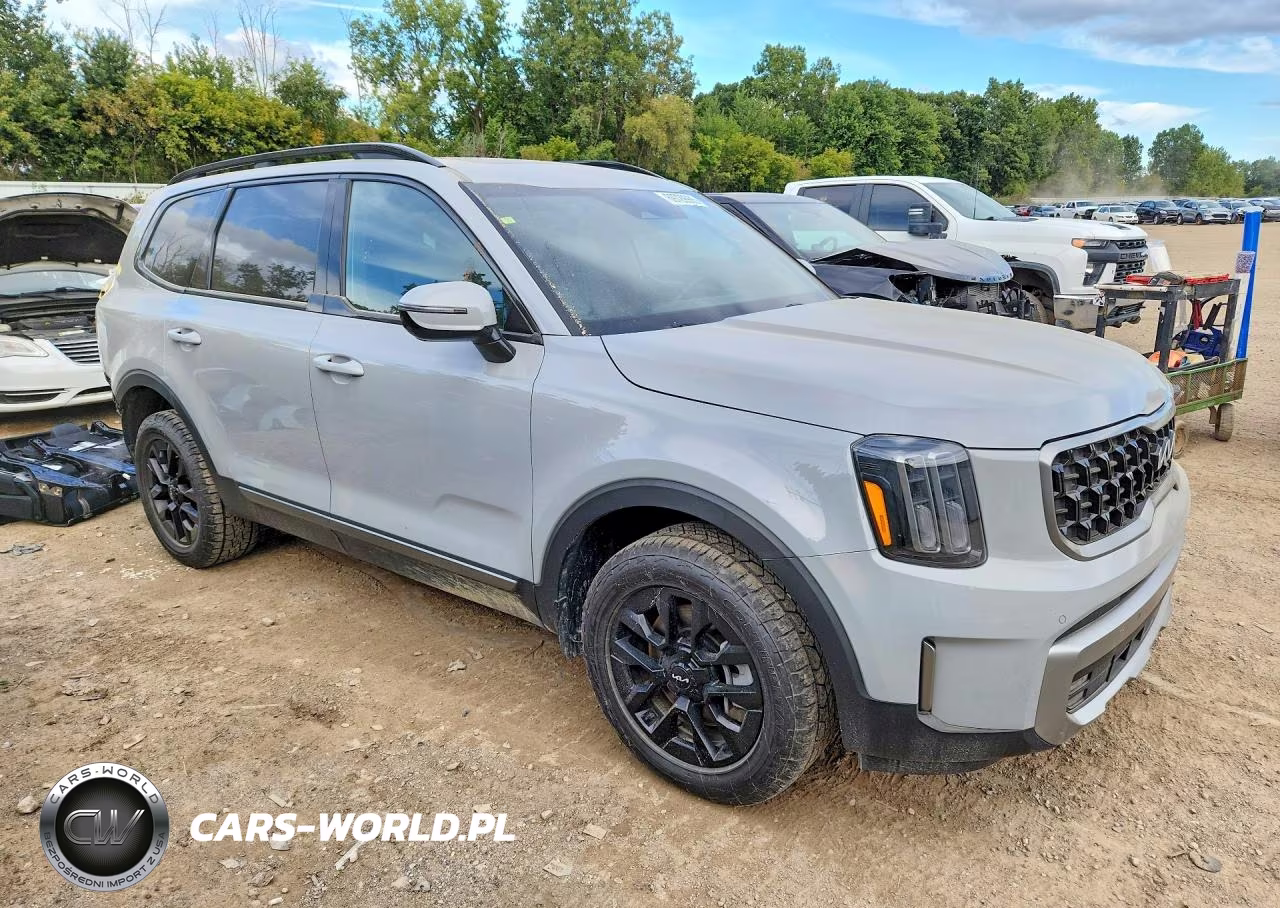 2023 Kia Telluride Sx X-Pro VIN:5XYP5DGC0PG404668 - 4
