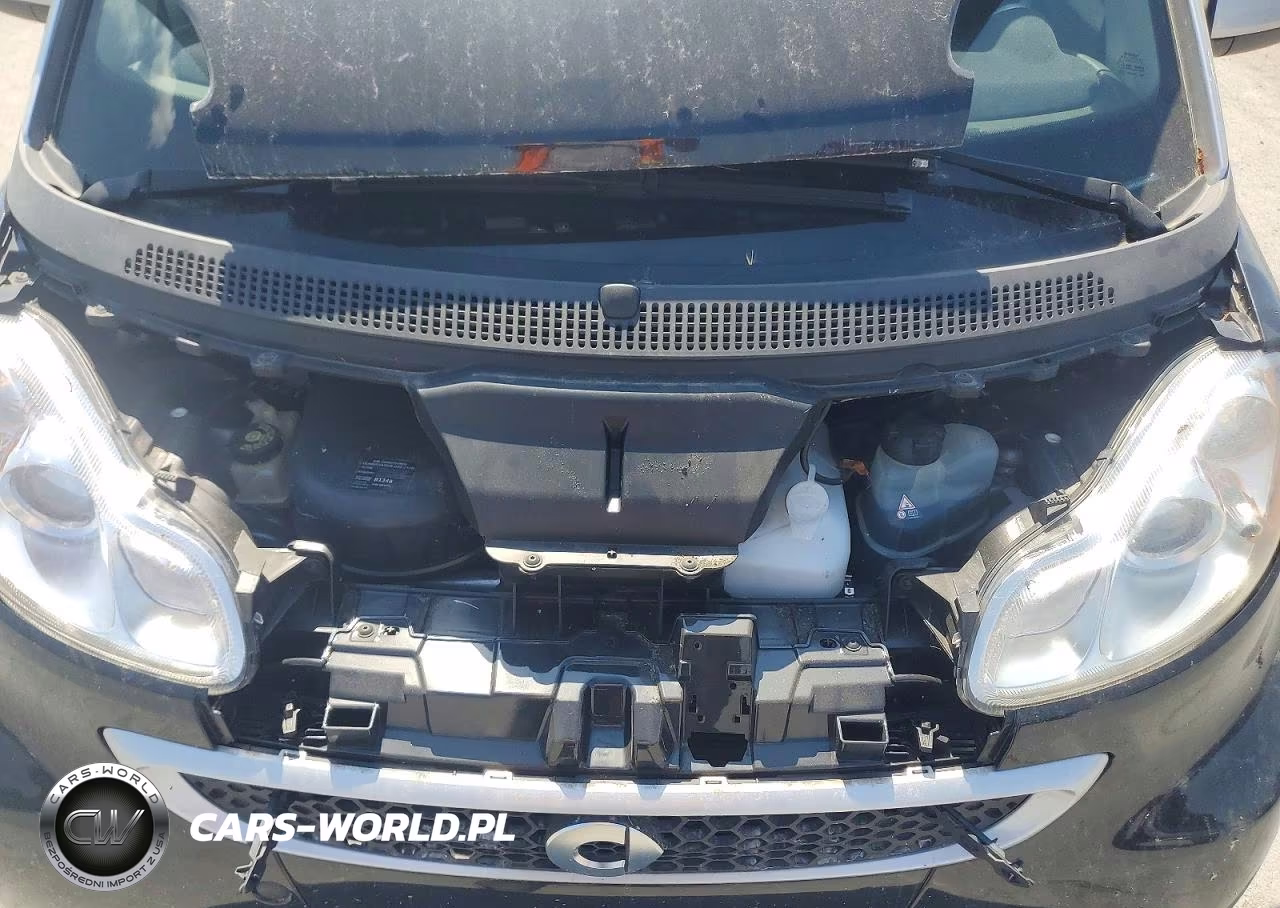 2013 Smart Fortwo VIN:WMEEJ9AA6DK696731 - 11