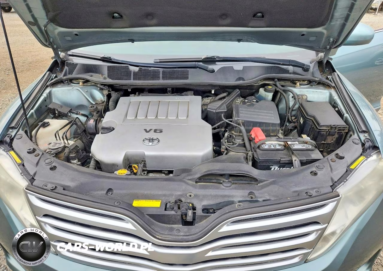 2010 Toyota Venza Awd V6 VIN:4T3BK3BB8AU030640 - 12