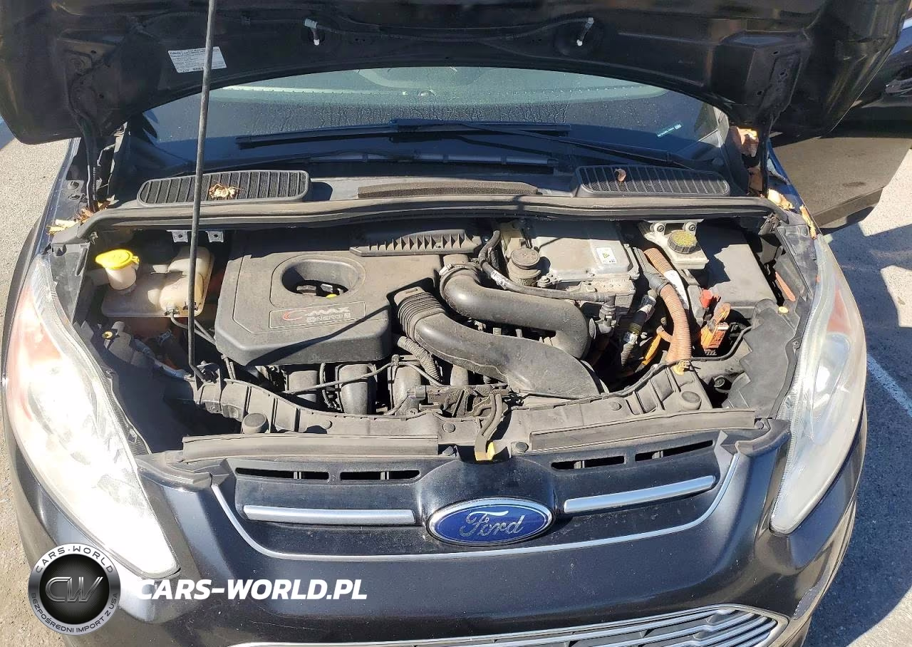 2016 Ford C-Max Premium Sel VIN:1FADP5CU2GL119353 - 11