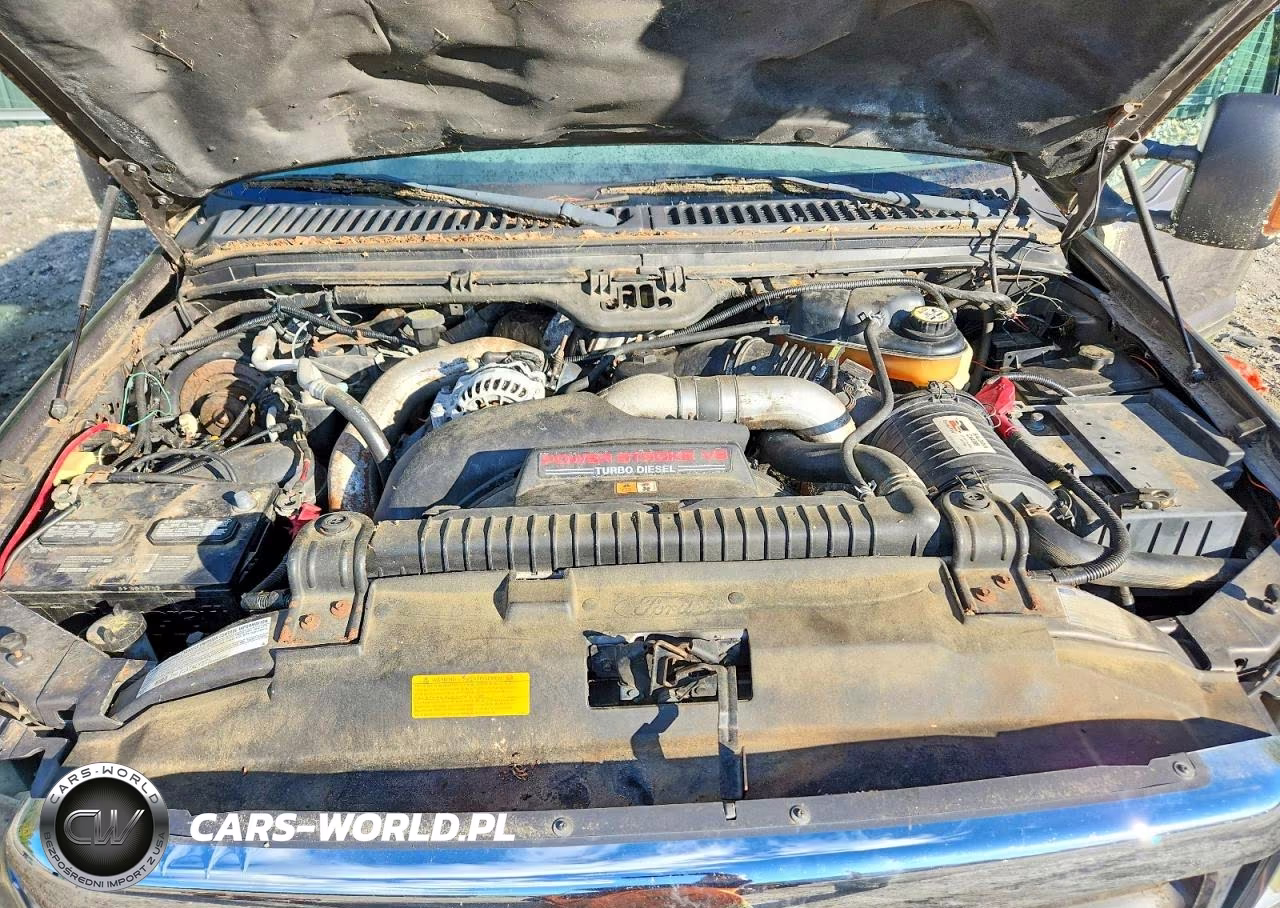 2003 Ford F350 Srw Super Duty VIN:1FTSX31P73ED18870 - 11