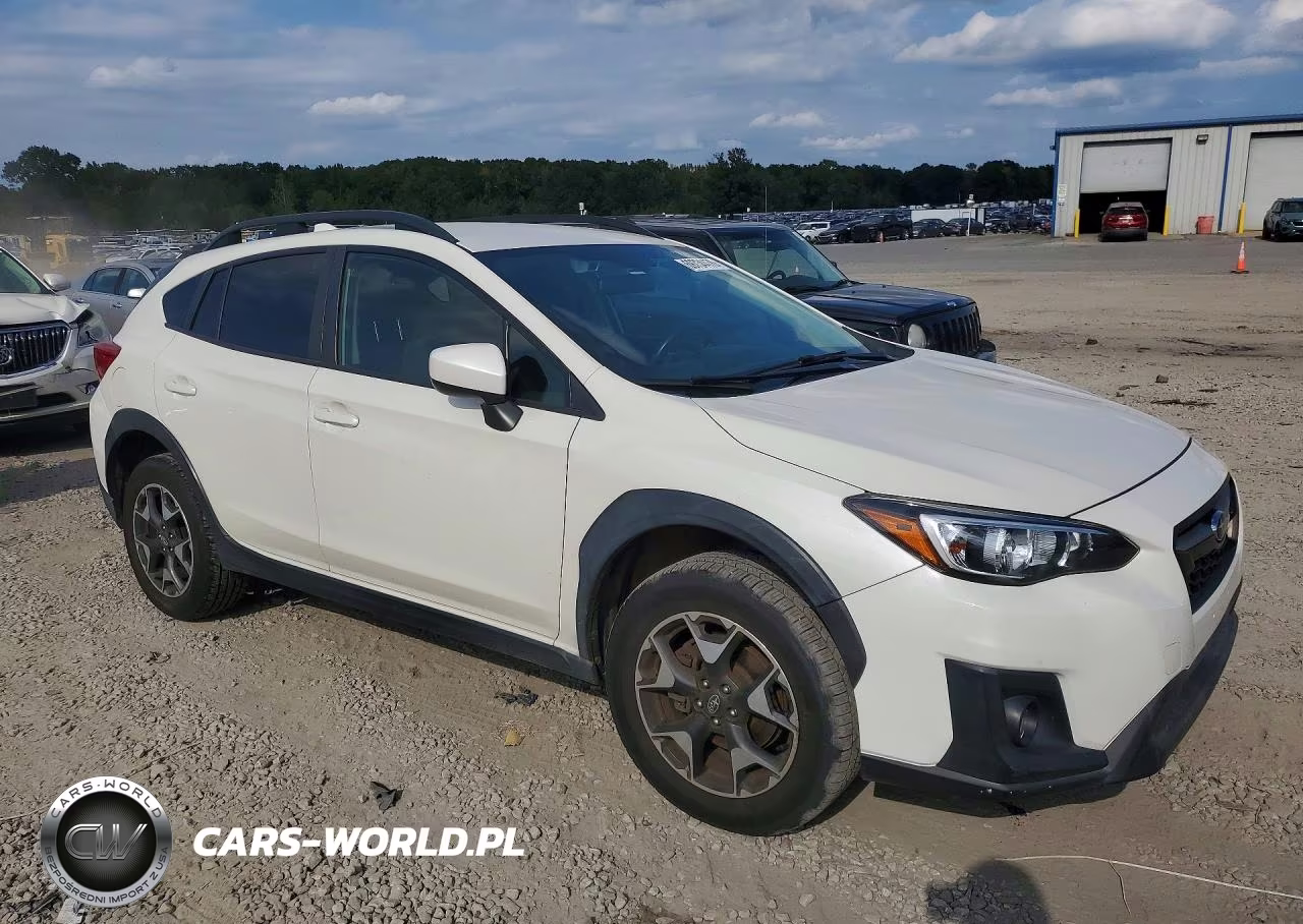 2019 Subaru Crosstrek Premium VIN:JF2GTAEC0K8299980 - 4