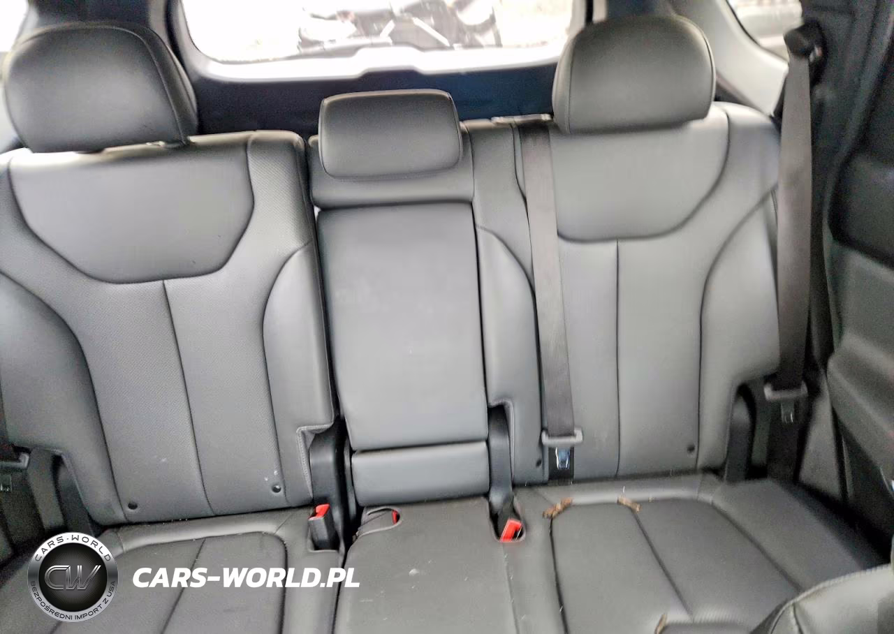 2023 Hyundai Santa Fe Sel Premium VIN:5NMS3DAJ7PH641395 - 10