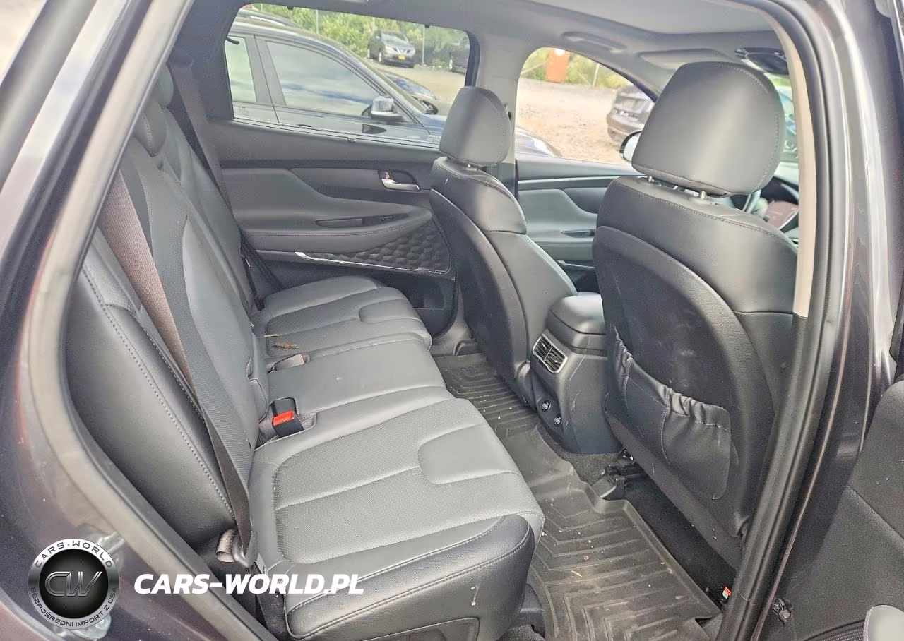 2023 Hyundai Santa Fe Sel Premium VIN:5NMS3DAJ7PH641395 - 11