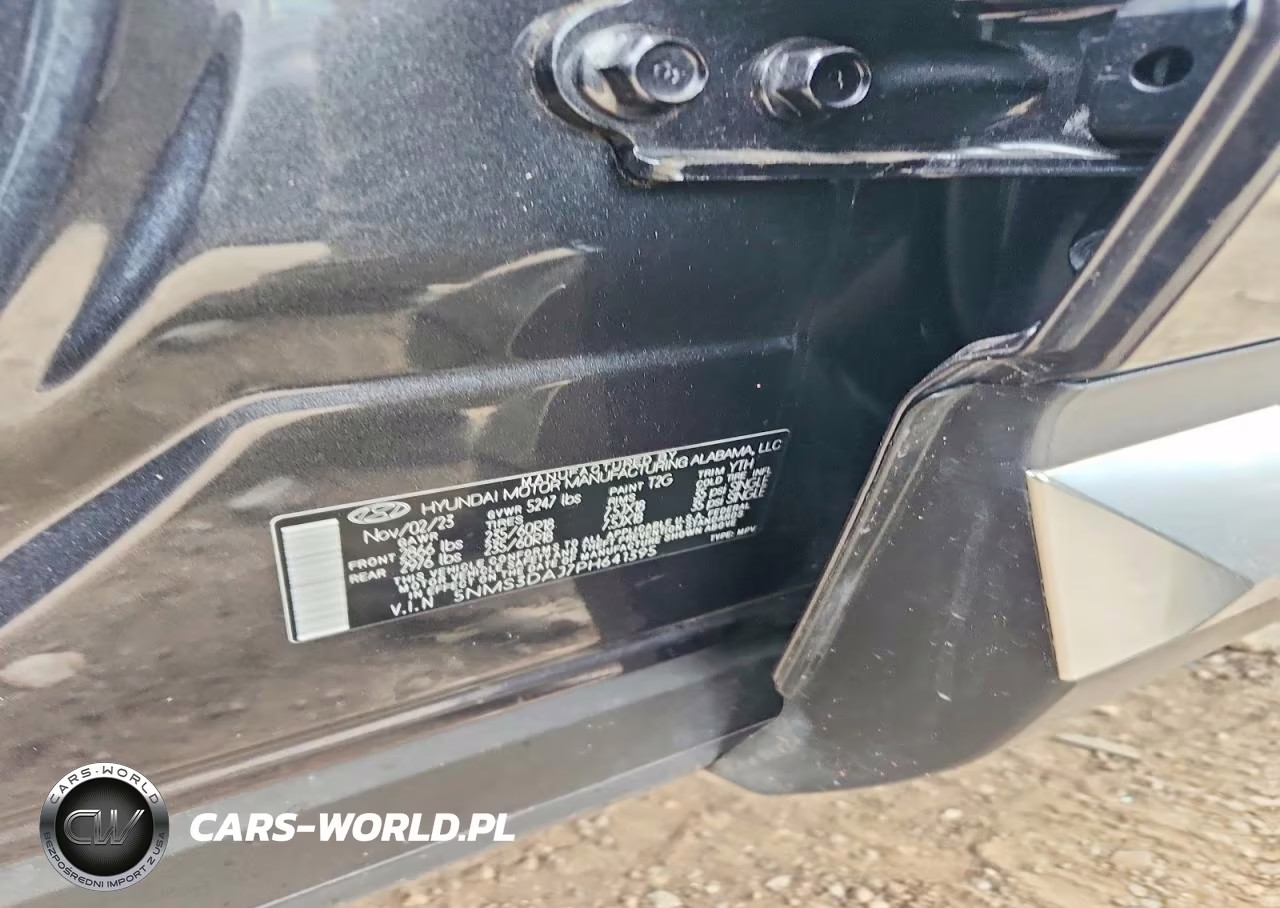 2023 Hyundai Santa Fe Sel Premium VIN:5NMS3DAJ7PH641395 - 13