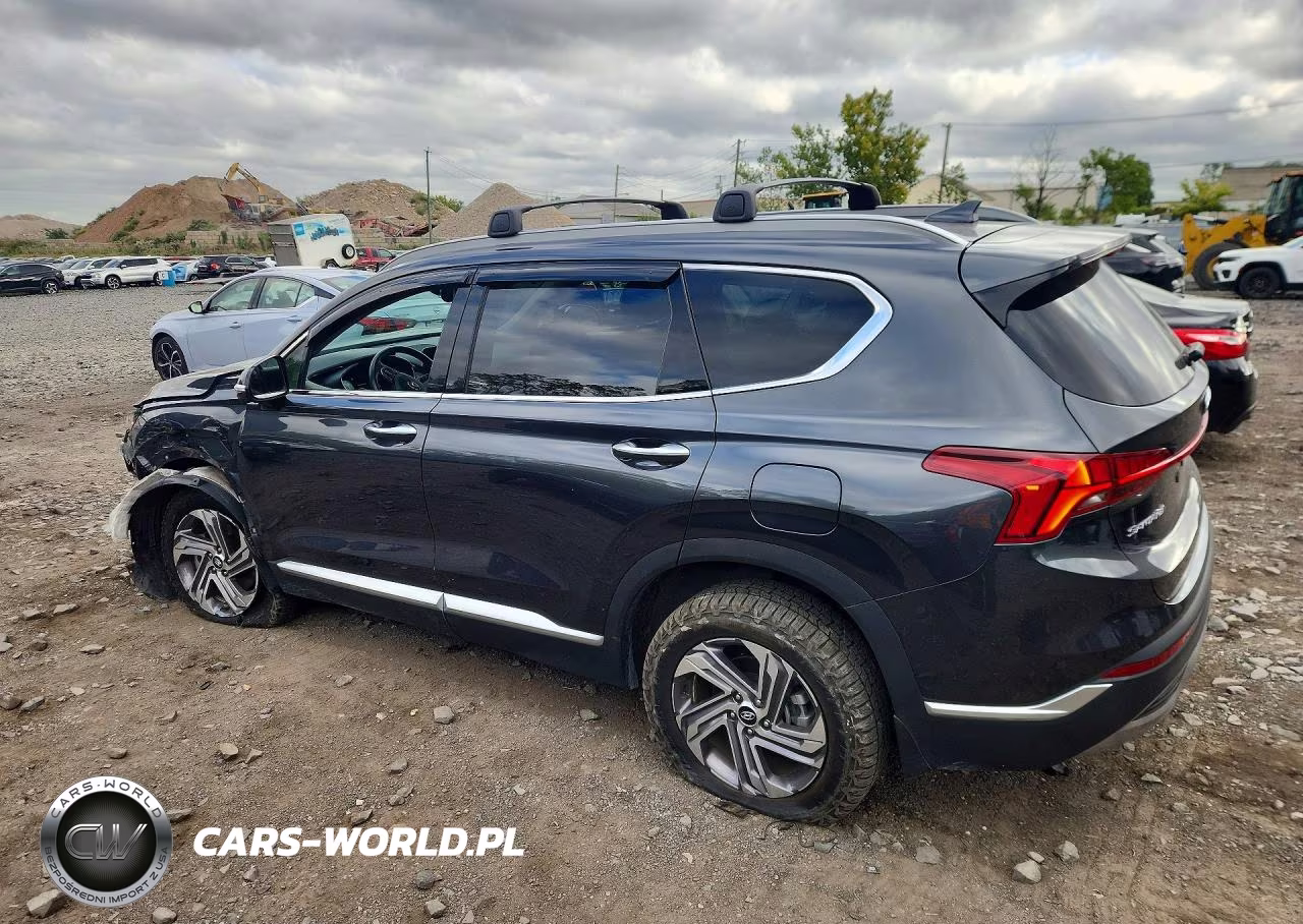 2023 Hyundai Santa Fe Sel Premium VIN:5NMS3DAJ7PH641395 - 2