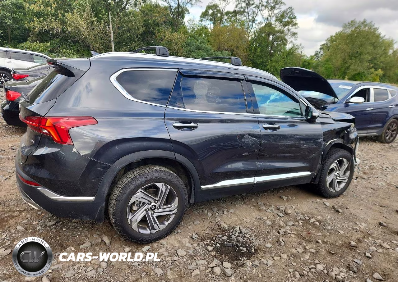 2023 Hyundai Santa Fe Sel Premium VIN:5NMS3DAJ7PH641395 - 3
