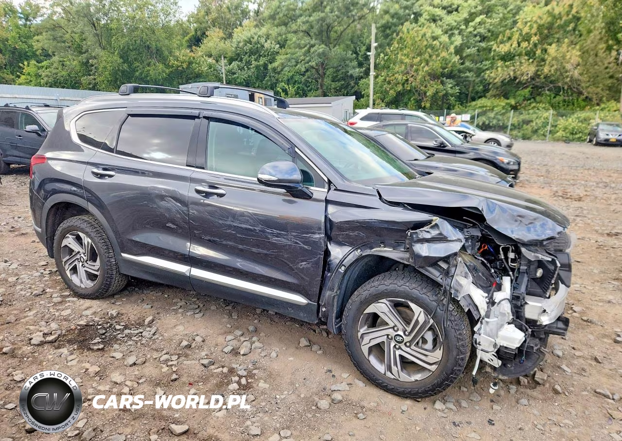 2023 Hyundai Santa Fe Sel Premium VIN:5NMS3DAJ7PH641395 - 4