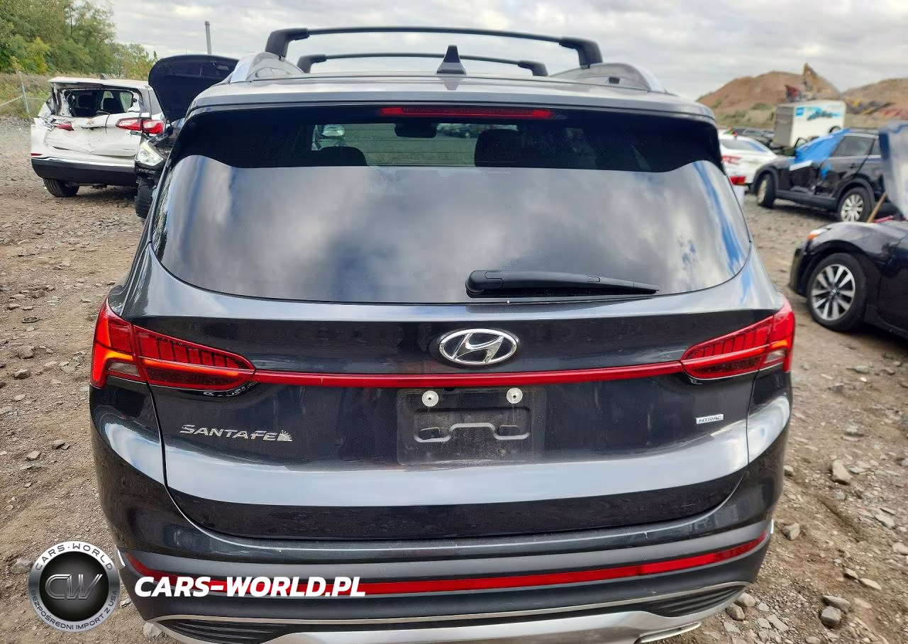 2023 Hyundai Santa Fe Sel Premium VIN:5NMS3DAJ7PH641395 - 6