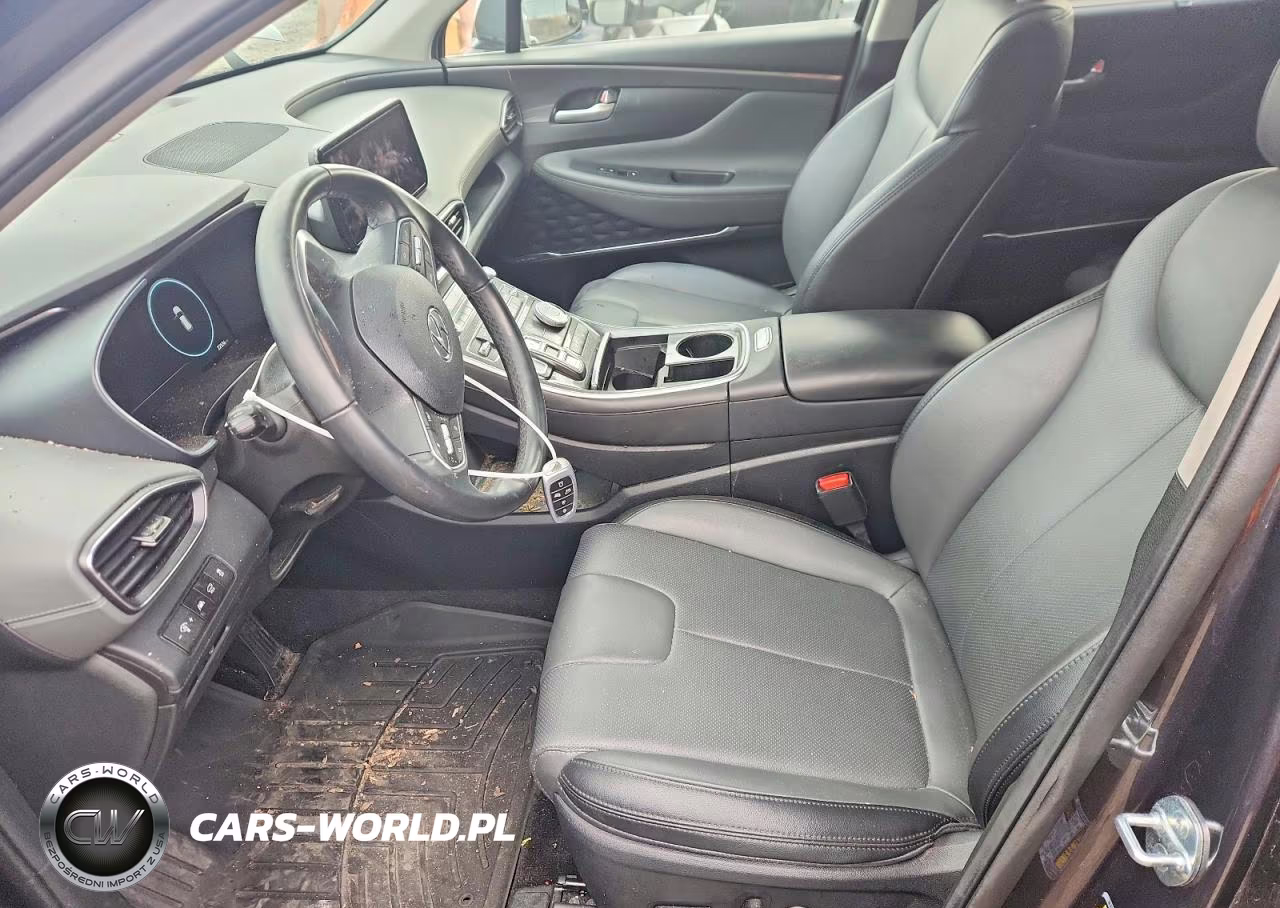 2023 Hyundai Santa Fe Sel Premium VIN:5NMS3DAJ7PH641395 - 7