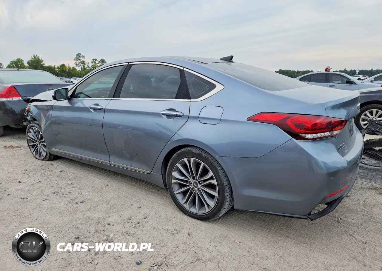 2016 Hyundai Genesis 3.8L VIN:KMHGN4JE4GU113465 - 2
