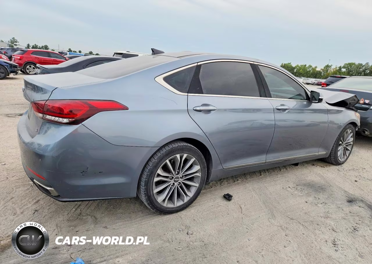 2016 Hyundai Genesis 3.8L VIN:KMHGN4JE4GU113465 - 3