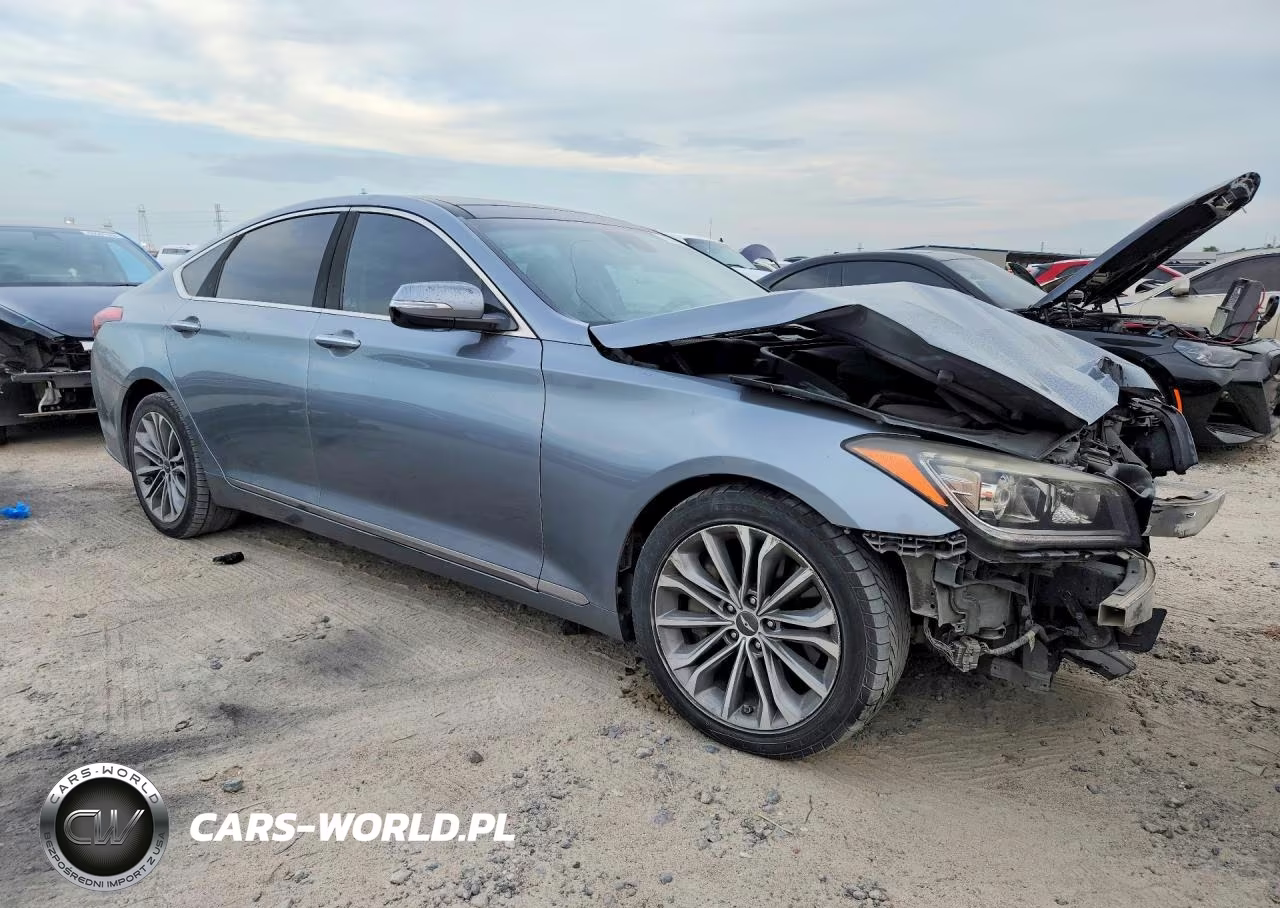 2016 Hyundai Genesis 3.8L VIN:KMHGN4JE4GU113465 - 4
