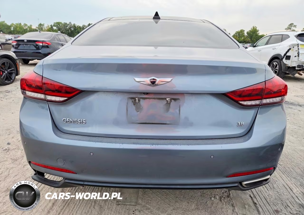 2016 Hyundai Genesis 3.8L VIN:KMHGN4JE4GU113465 - 6