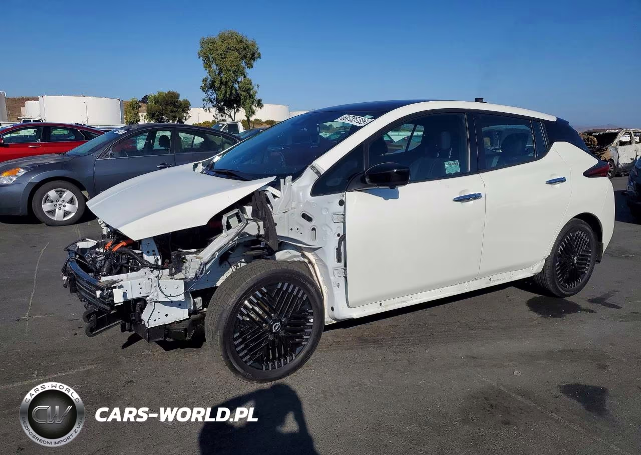 2025 Nissan Leaf Sv Plus