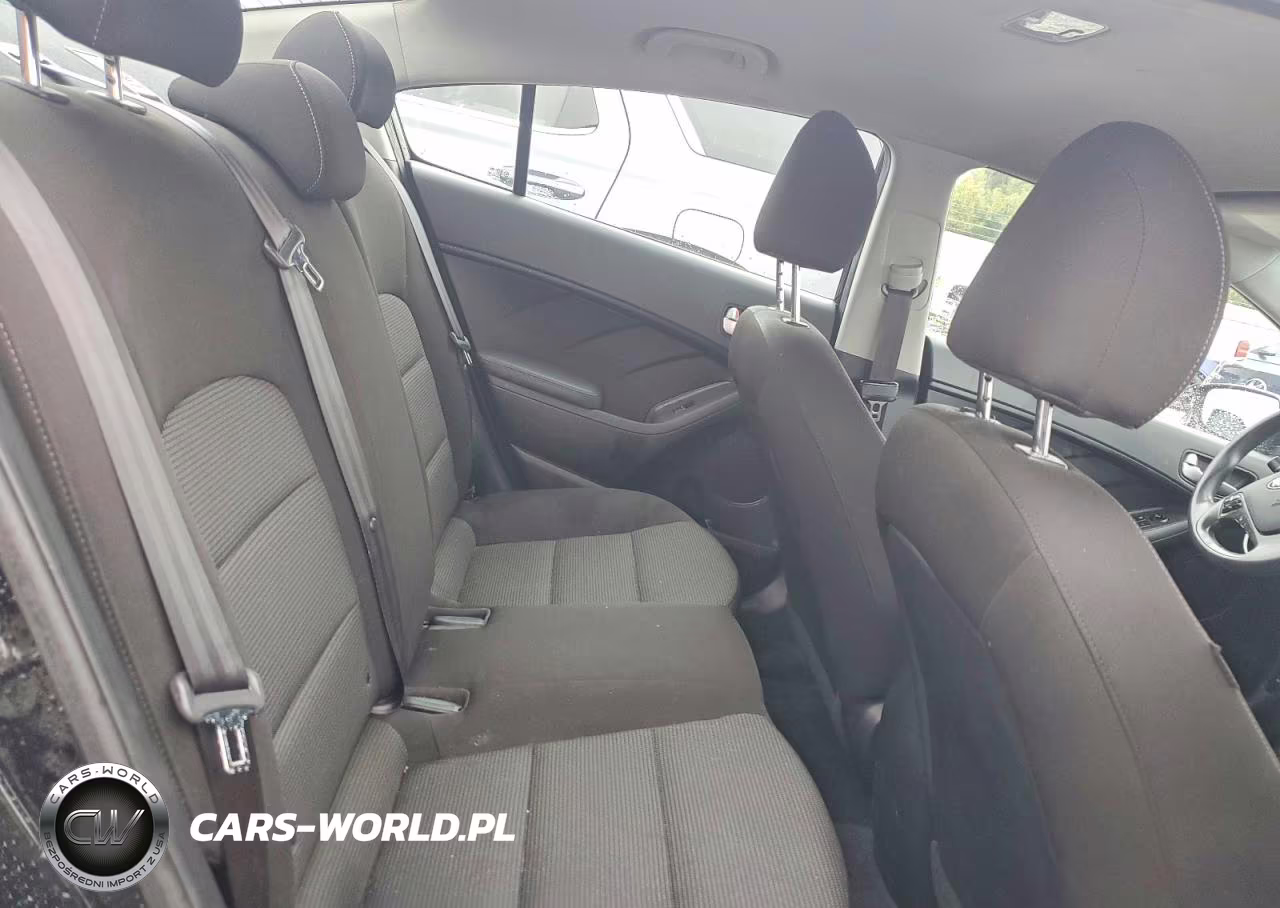 2018 Kia Forte Lx VIN:3KPFK4A75JE166563 - 10