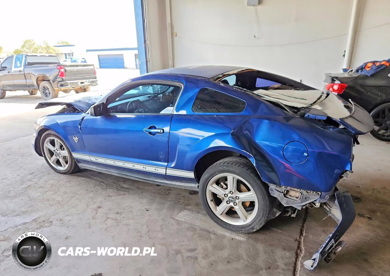 2009 Ford Mustang VIN:1ZVHT80N395116536 - 2