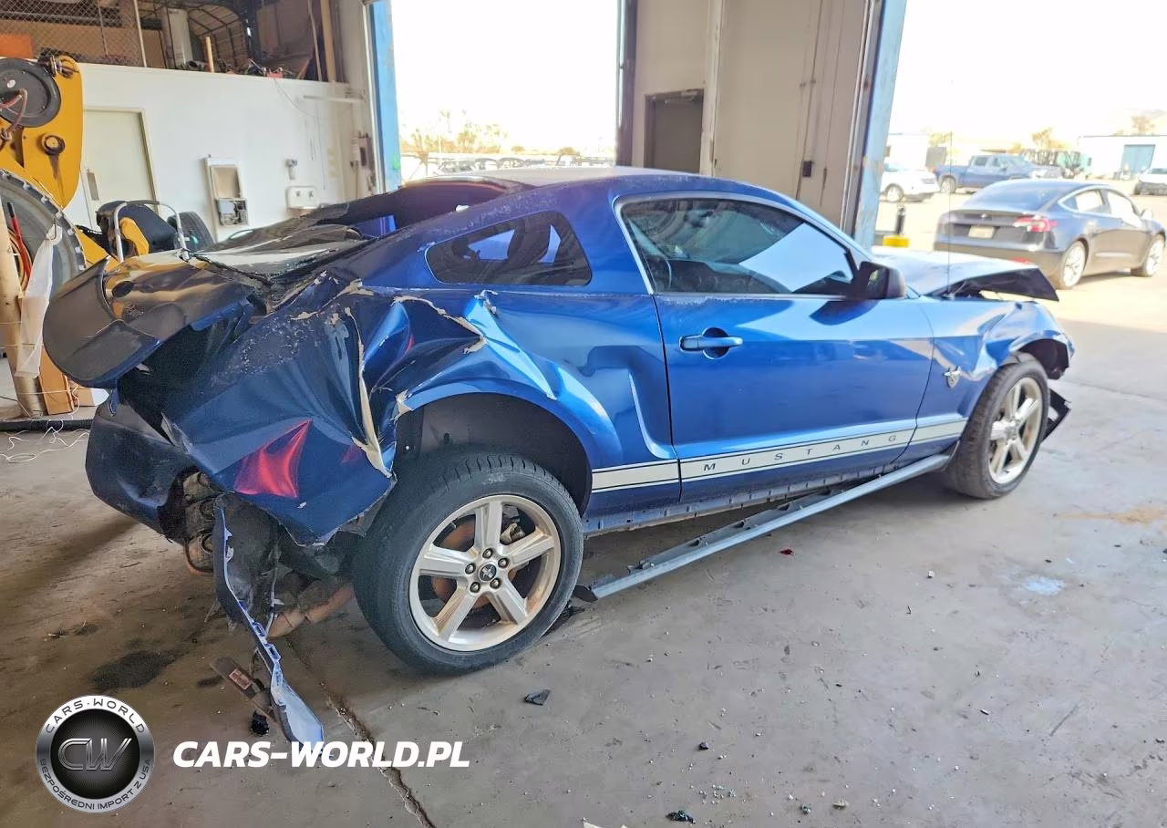 2009 Ford Mustang VIN:1ZVHT80N395116536 - 3