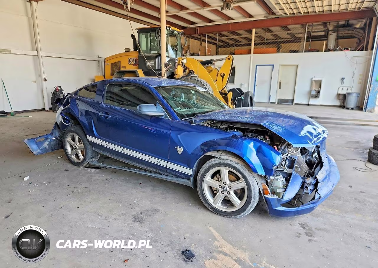2009 Ford Mustang VIN:1ZVHT80N395116536 - 4