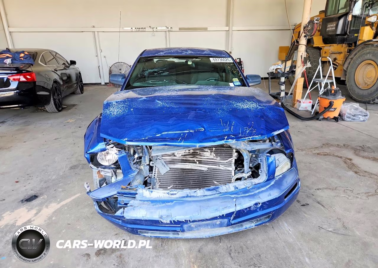 2009 Ford Mustang VIN:1ZVHT80N395116536 - 5