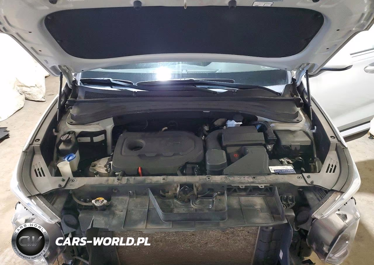 2019 Hyundai Santa Fe Sel Plus 2.4L VIN:5NMS3CAD0KH008105 - 12