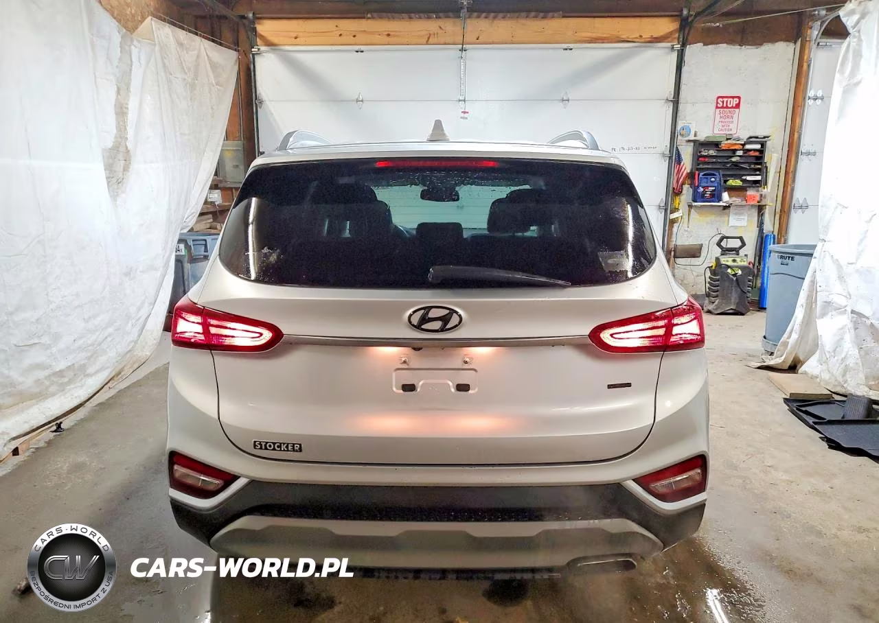2019 Hyundai Santa Fe Sel Plus 2.4L VIN:5NMS3CAD0KH008105 - 6