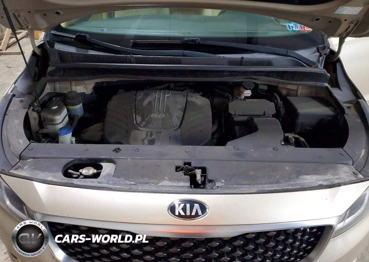 2017 Kia Sedona Lx VIN:KNDMB5C16H6225447 - 12
