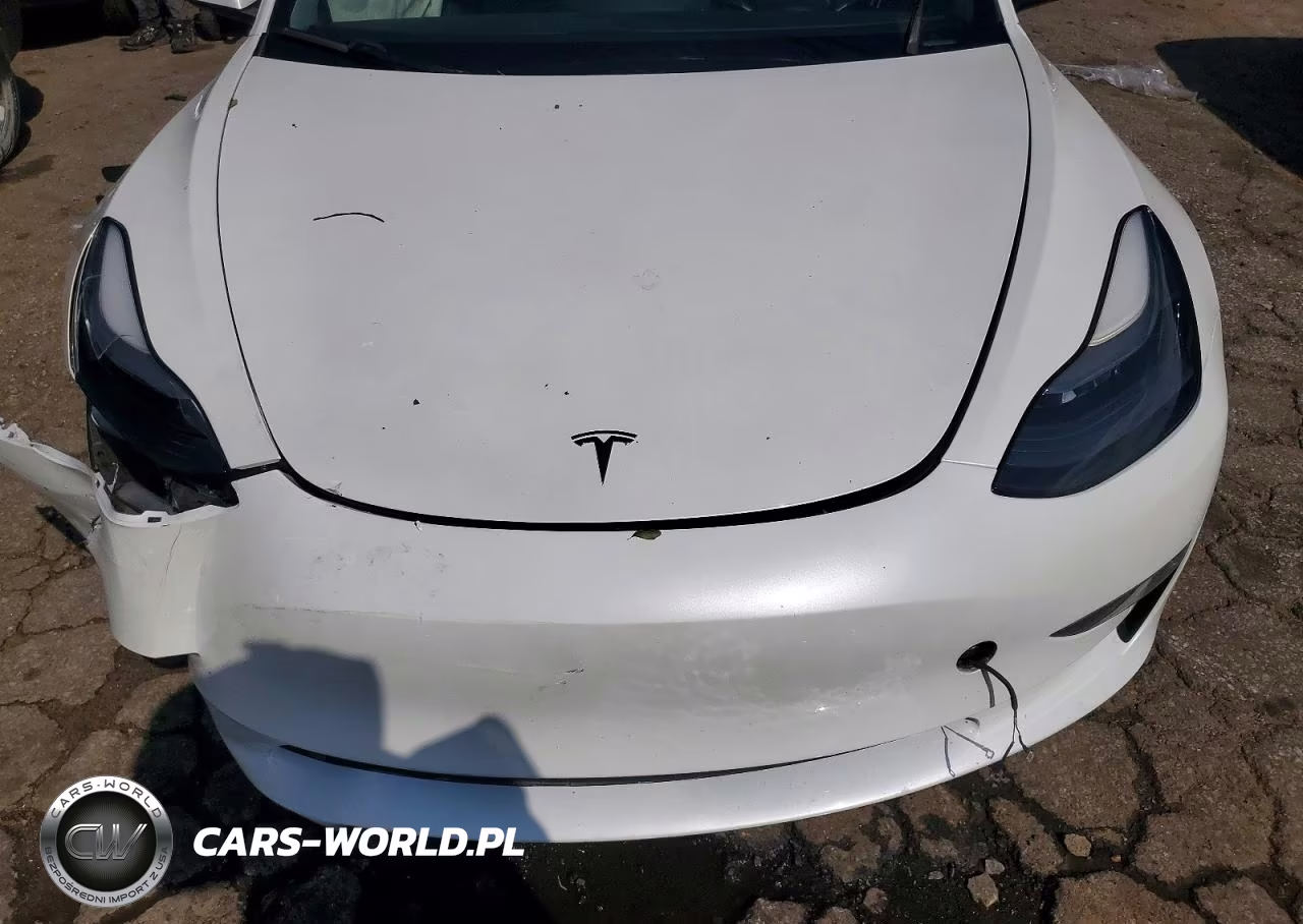 2023 Tesla Model 3 VIN:5YJ3E1EA1PF549966 - 11