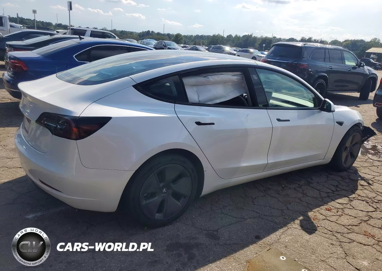 2023 Tesla Model 3 VIN:5YJ3E1EA1PF549966 - 3