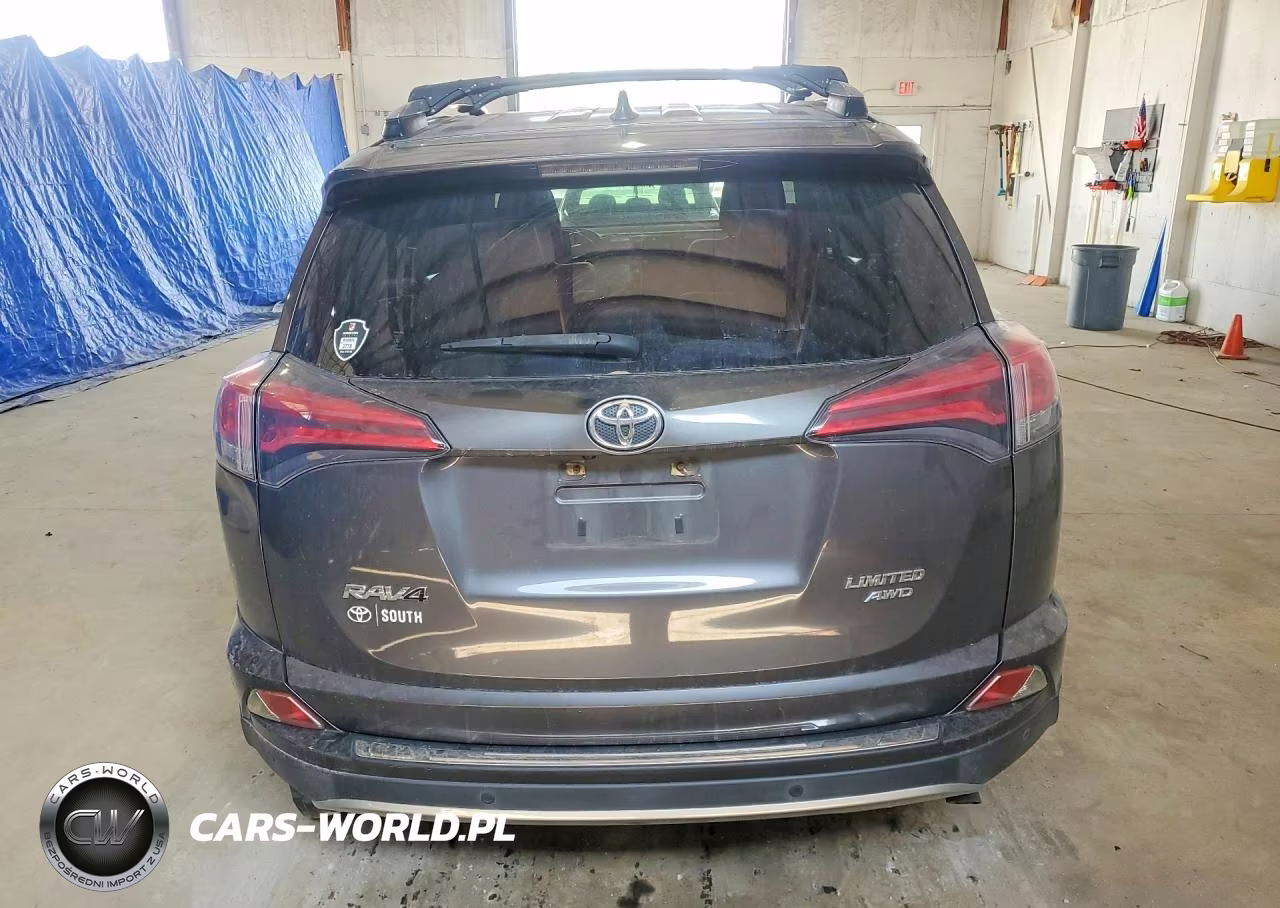 2017 Toyota Rav4 Limited VIN:JTMDFREV5HJ168523 - 6