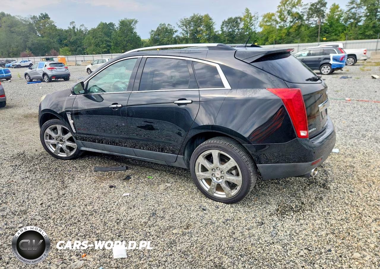 2011 Cadillac Srx Premium Collection VIN:3GYFNKE68BS577501 - 2