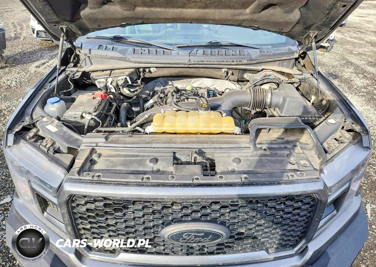 2020 Ford F150 Supercrew VIN:1FTEW1EP8LFB73184 - 11