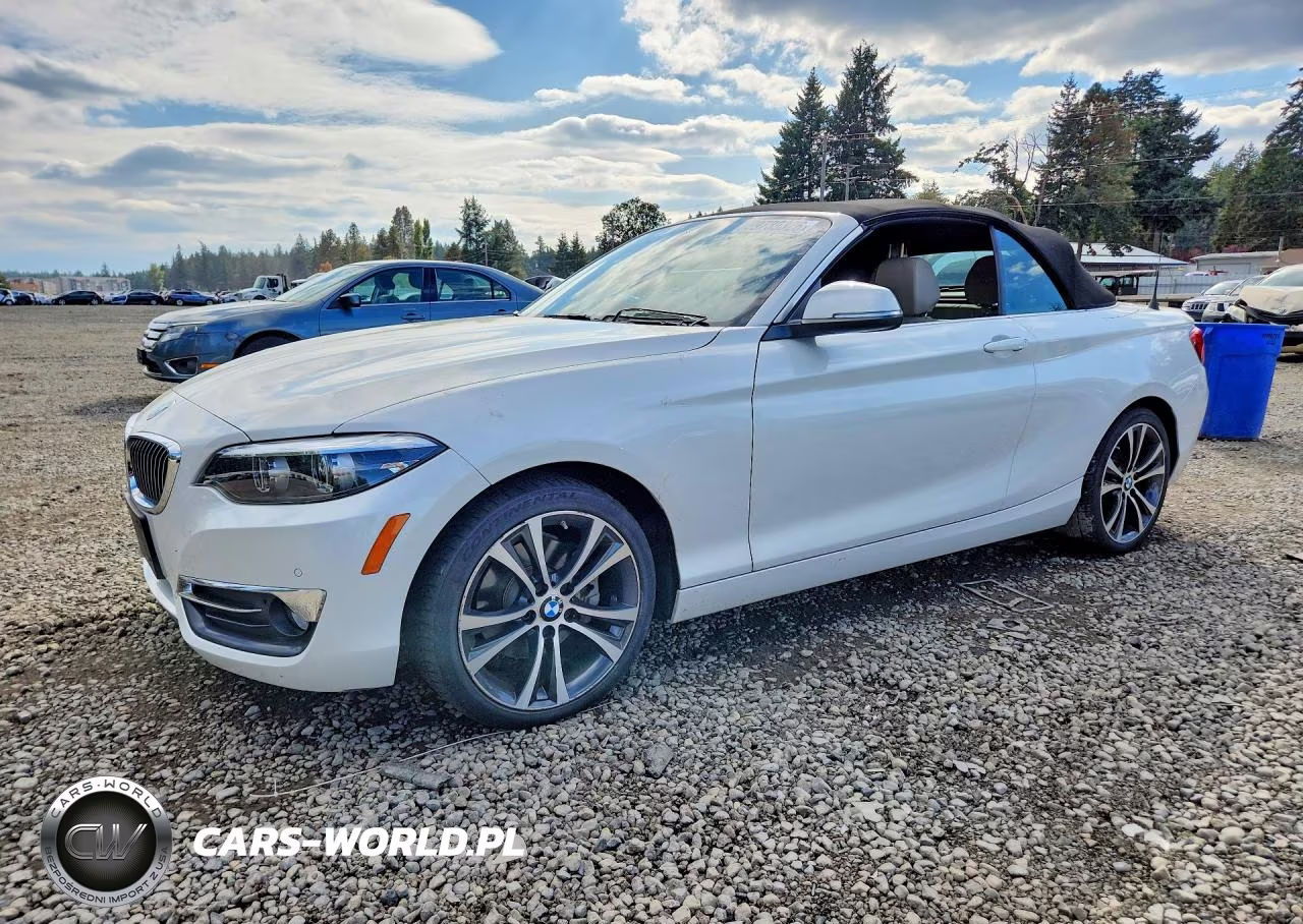 2019 BMW 230Xi VIN:WBA2K1C58KVD41863 - 1