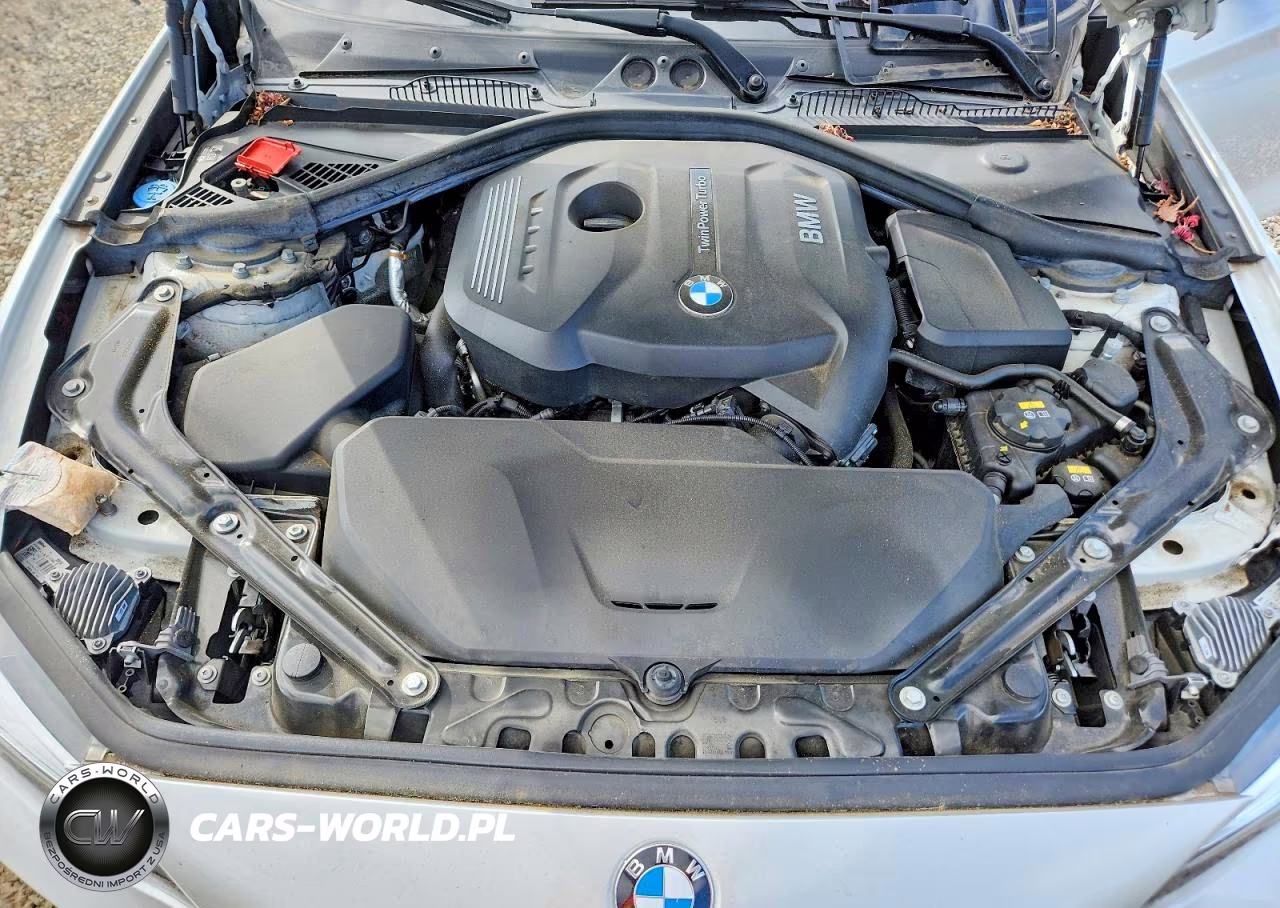 2019 BMW 230Xi VIN:WBA2K1C58KVD41863 - 11