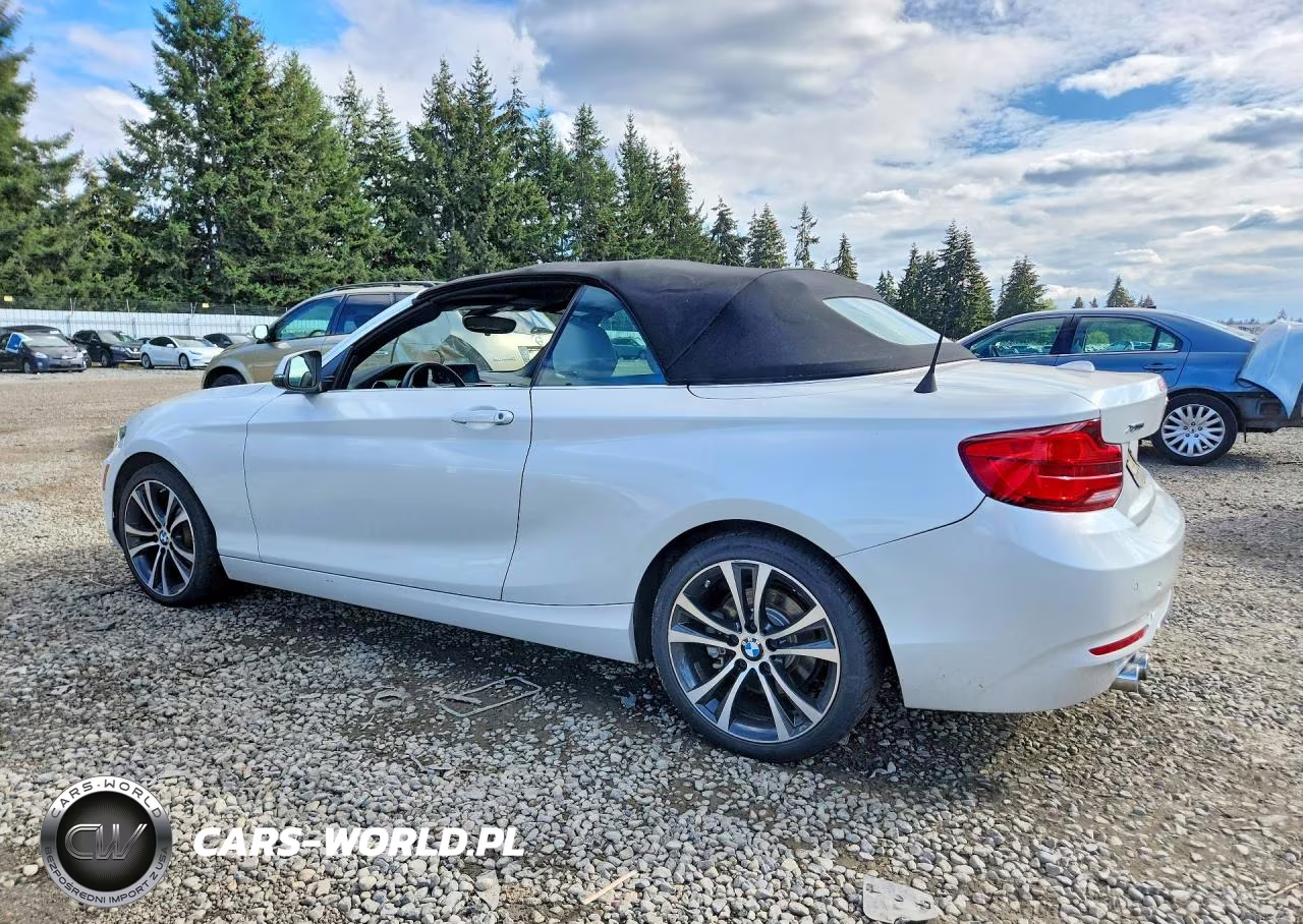 2019 BMW 230Xi VIN:WBA2K1C58KVD41863 - 2