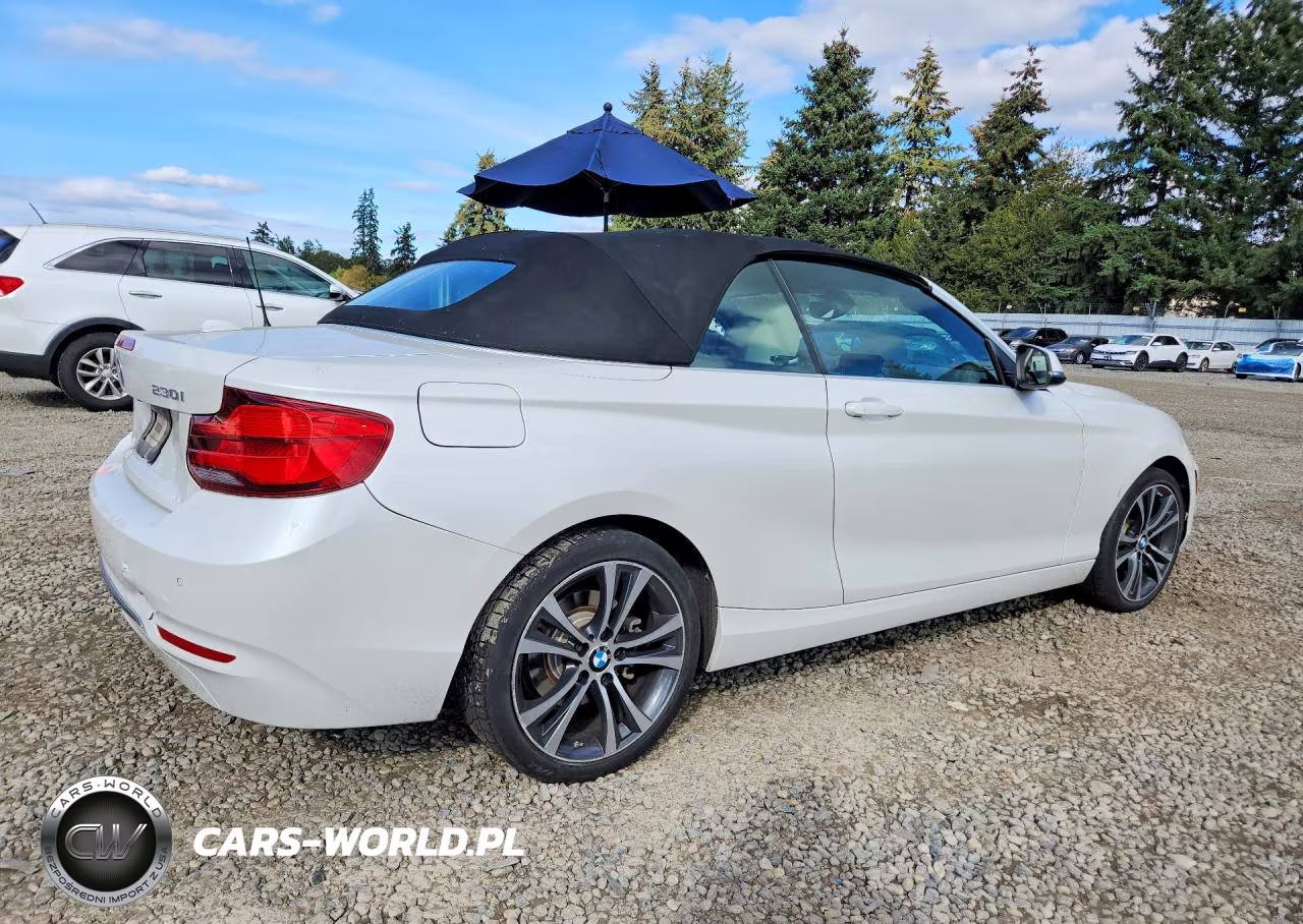 2019 BMW 230Xi VIN:WBA2K1C58KVD41863 - 3