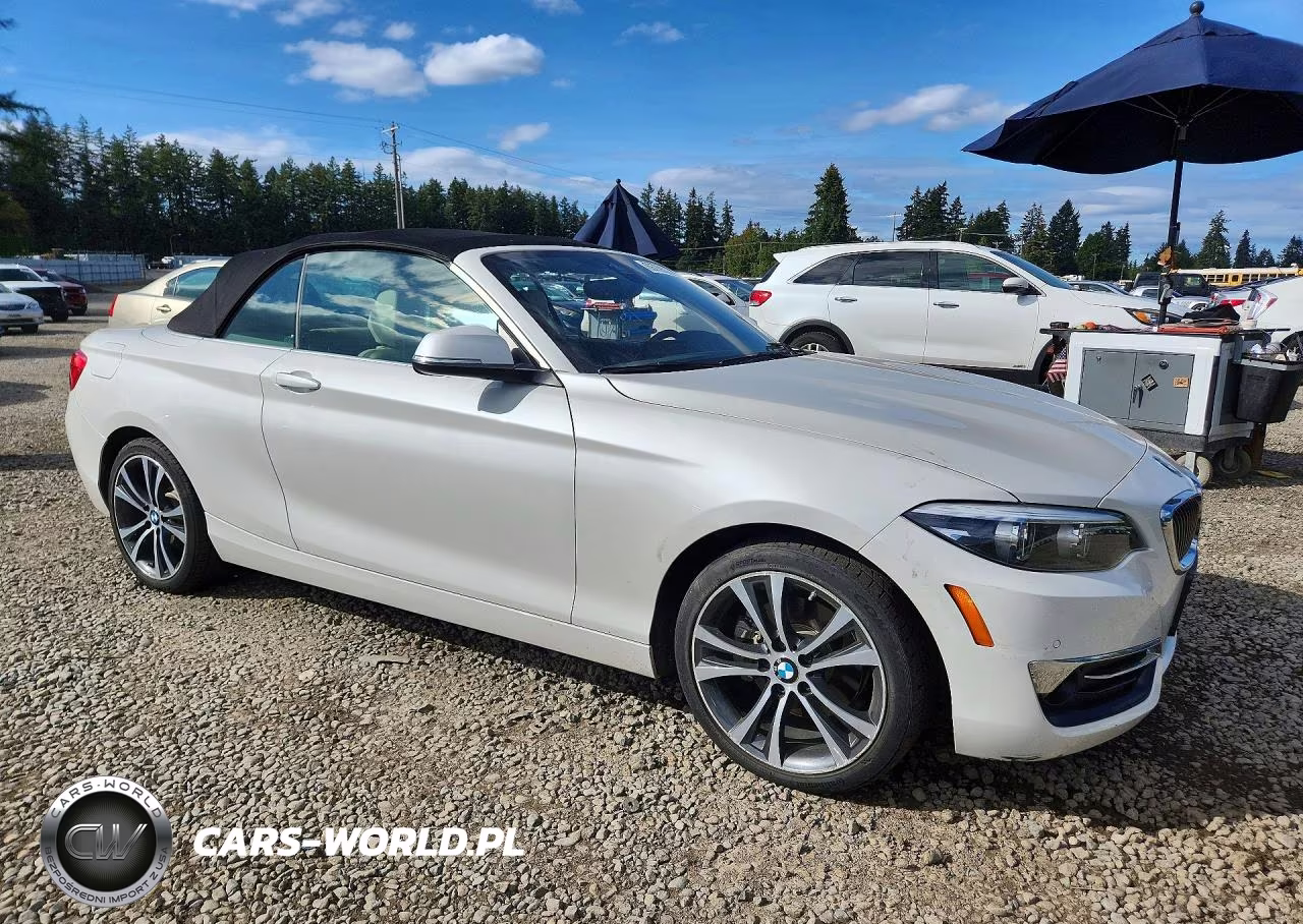 2019 BMW 230Xi VIN:WBA2K1C58KVD41863 - 4