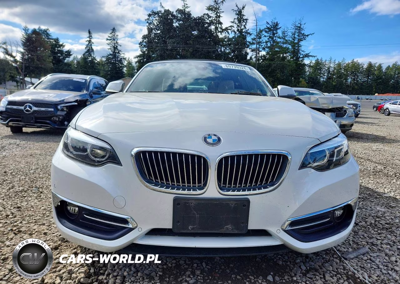 2019 BMW 230Xi VIN:WBA2K1C58KVD41863 - 5