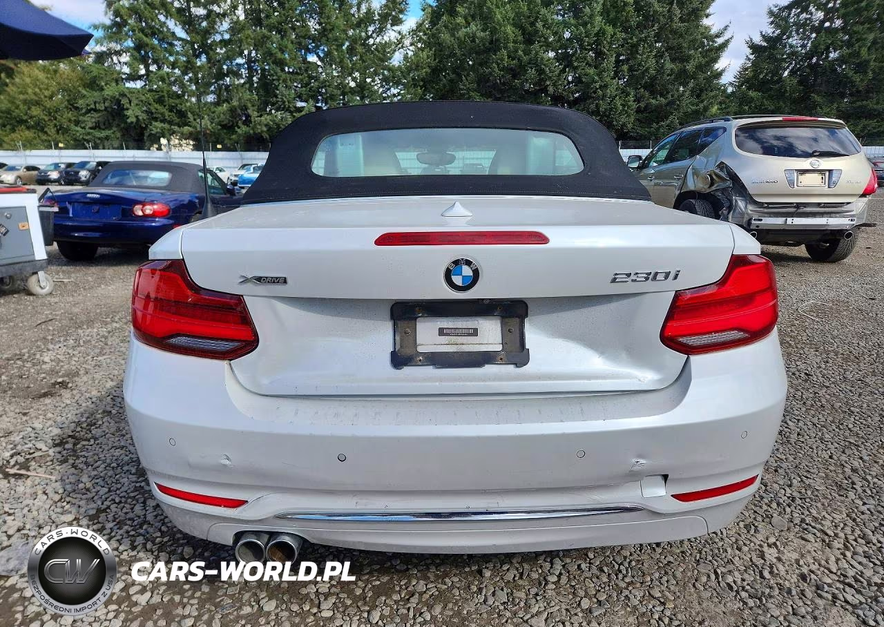 2019 BMW 230Xi VIN:WBA2K1C58KVD41863 - 6