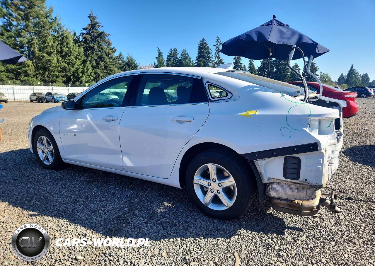 2024 Chevrolet Malibu Lt VIN:1G1ZD5ST2RF197613 - 2