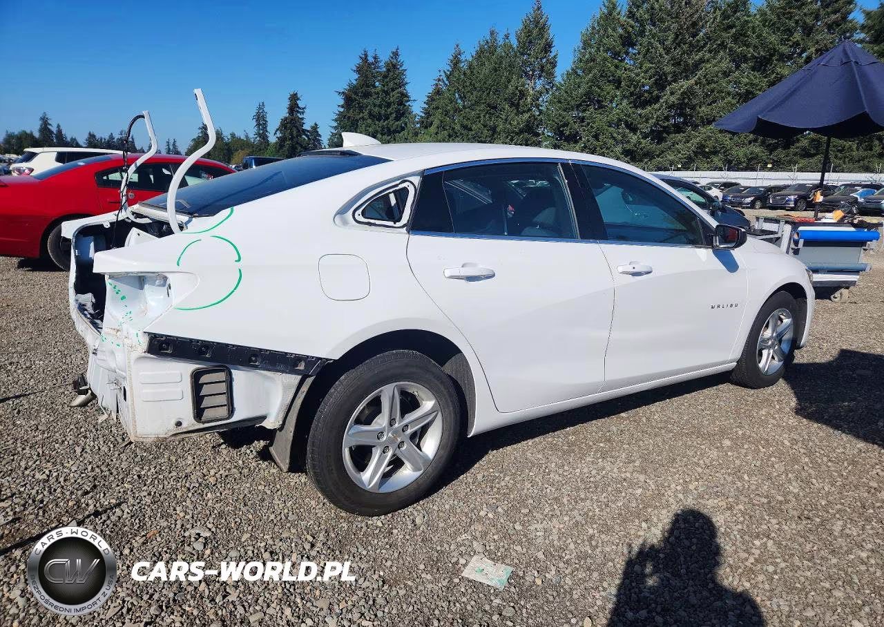 2024 Chevrolet Malibu Lt VIN:1G1ZD5ST2RF197613 - 3