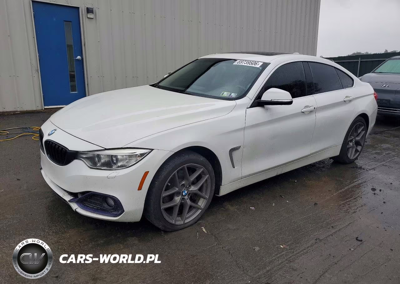 2015 BMW 428 Xi Gran Coupe Sulev VIN:WBA4C9C53FD331299 - 1