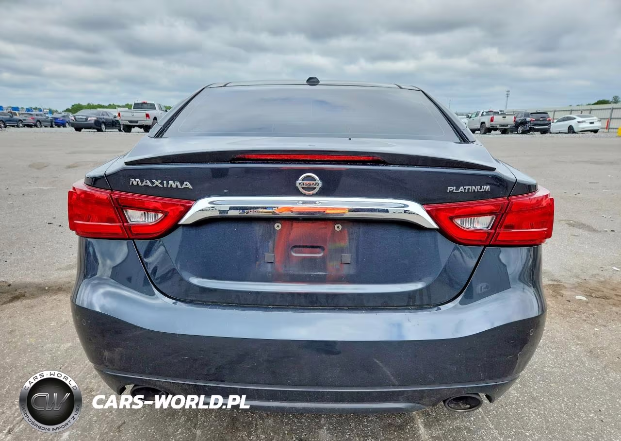 2016 Nissan Maxima Platinum VIN:1N4AA6AP5GC447034 - 6